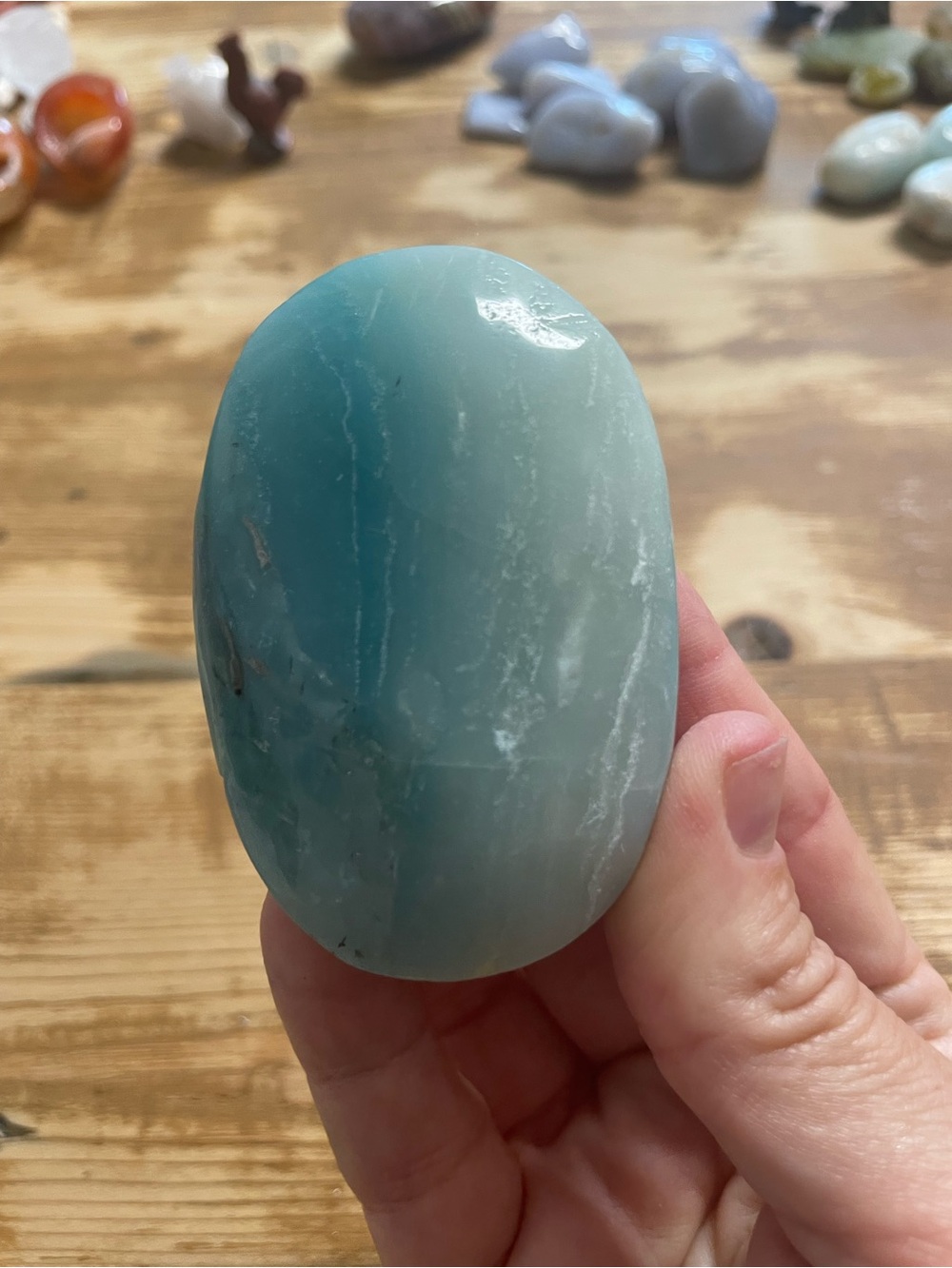 Large Polished Blue-Green Palm Stone